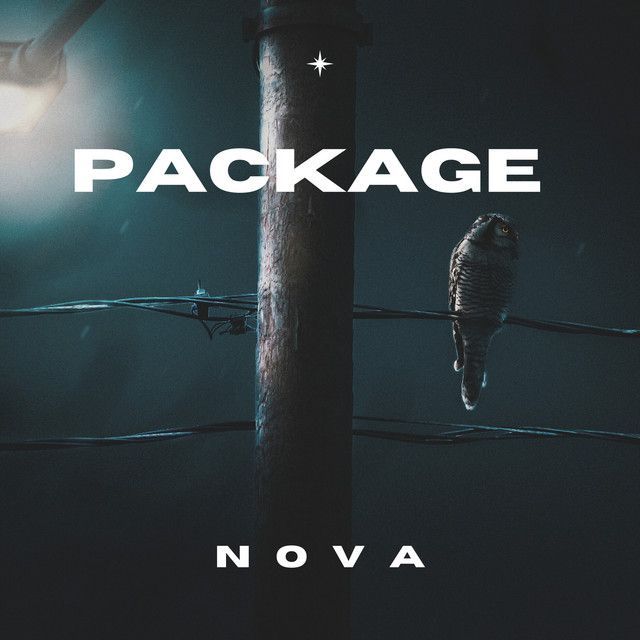 Package single cover: a figure on a road at night